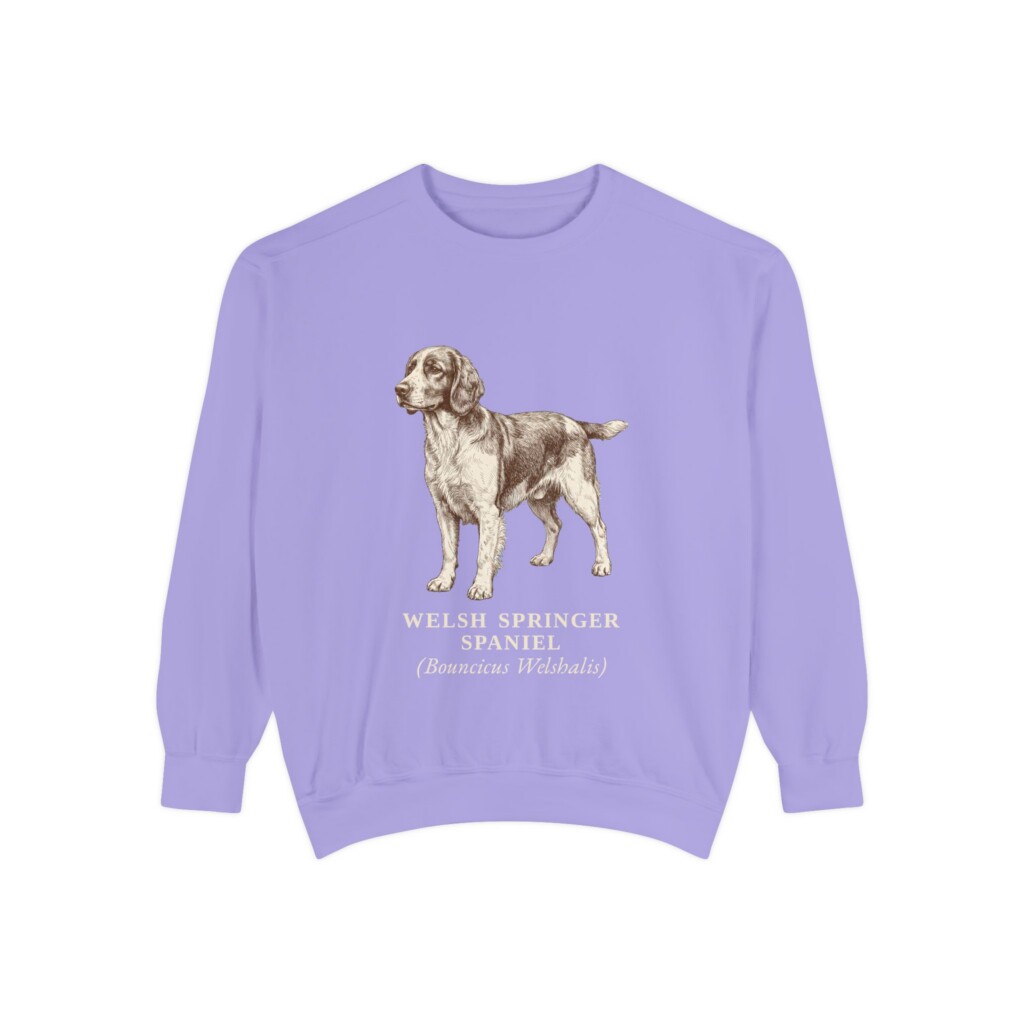 13251388190990931002_2048.jpeg Welsh Springer Spaniel Latin Sweatshirt, Vintage Dog Sketch Crewneck, Dog Latin Gift