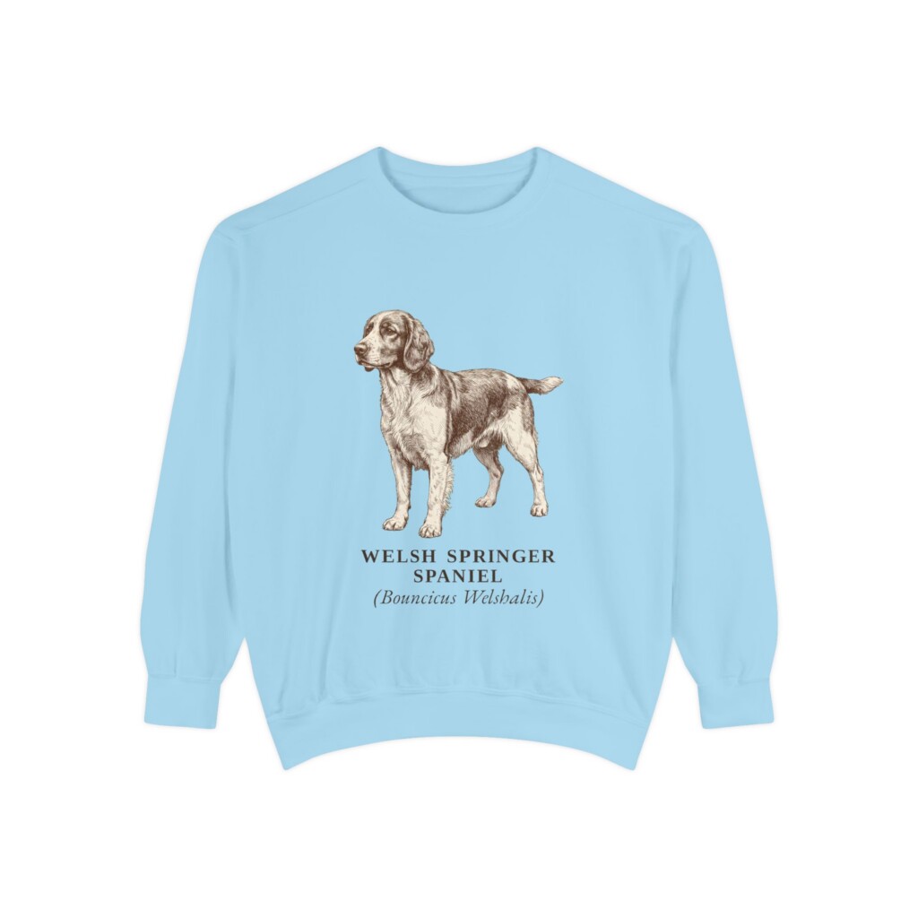 13411082834849839550_2048.jpeg Welsh Springer Spaniel Latin Sweatshirt, Vintage Dog Sketch Crewneck, Dog Latin Gift