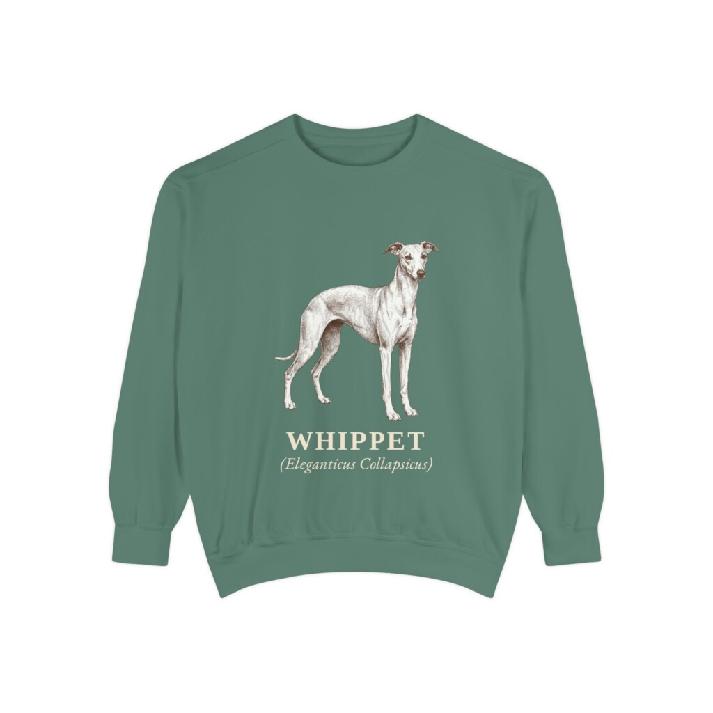 Whippet Latin Sweatshirt, Vintage Dog Sketch Crewneck, Dog Latin Gift