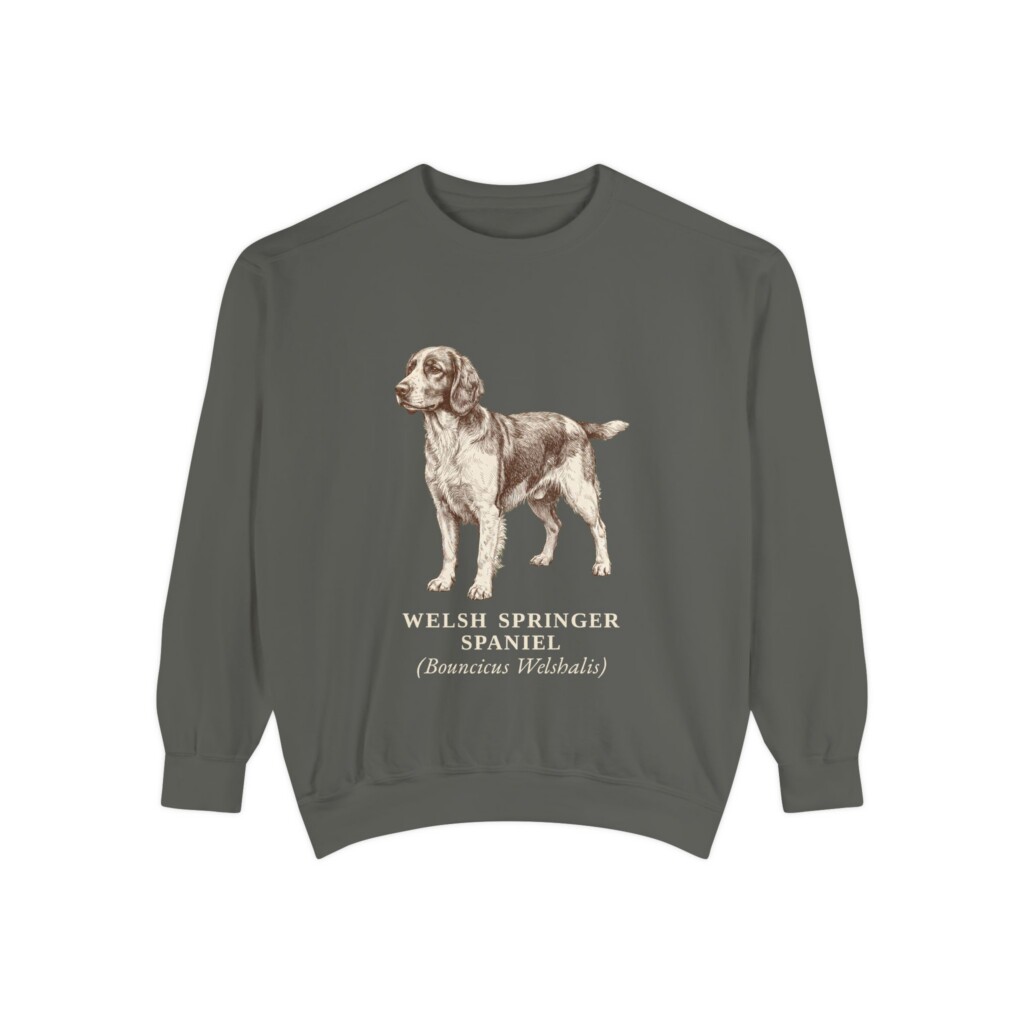 15295146757722224091_2048.jpeg Welsh Springer Spaniel Latin Sweatshirt, Vintage Dog Sketch Crewneck, Dog Latin Gift