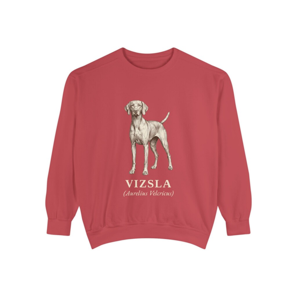 Vizsla Latin Sweatshirt, Vintage Dog Sketch Crewneck, Dog Latin Gift