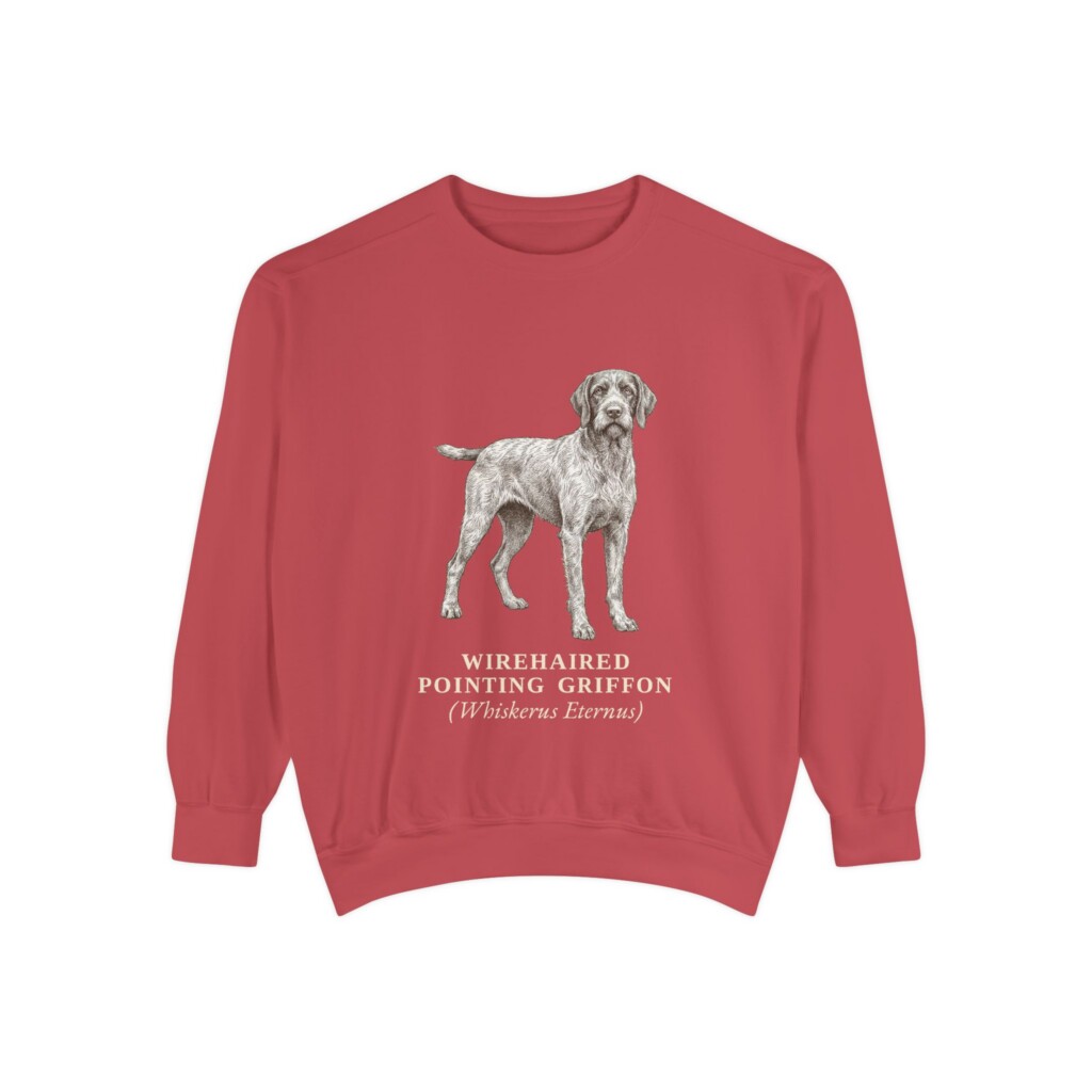Wirehaired Pointing Griffon Latin Sweatshirt, Vintage Dog Sketch Crewneck, Dog Latin Gift