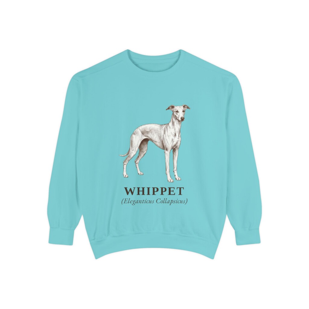 Whippet Latin Sweatshirt, Vintage Dog Sketch Crewneck, Dog Latin Gift
