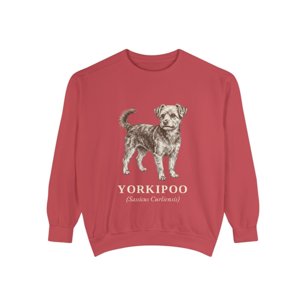 Yorkipoo Latin Sweatshirt, Vintage Dog Sketch Crewneck, Dog Latin Gift