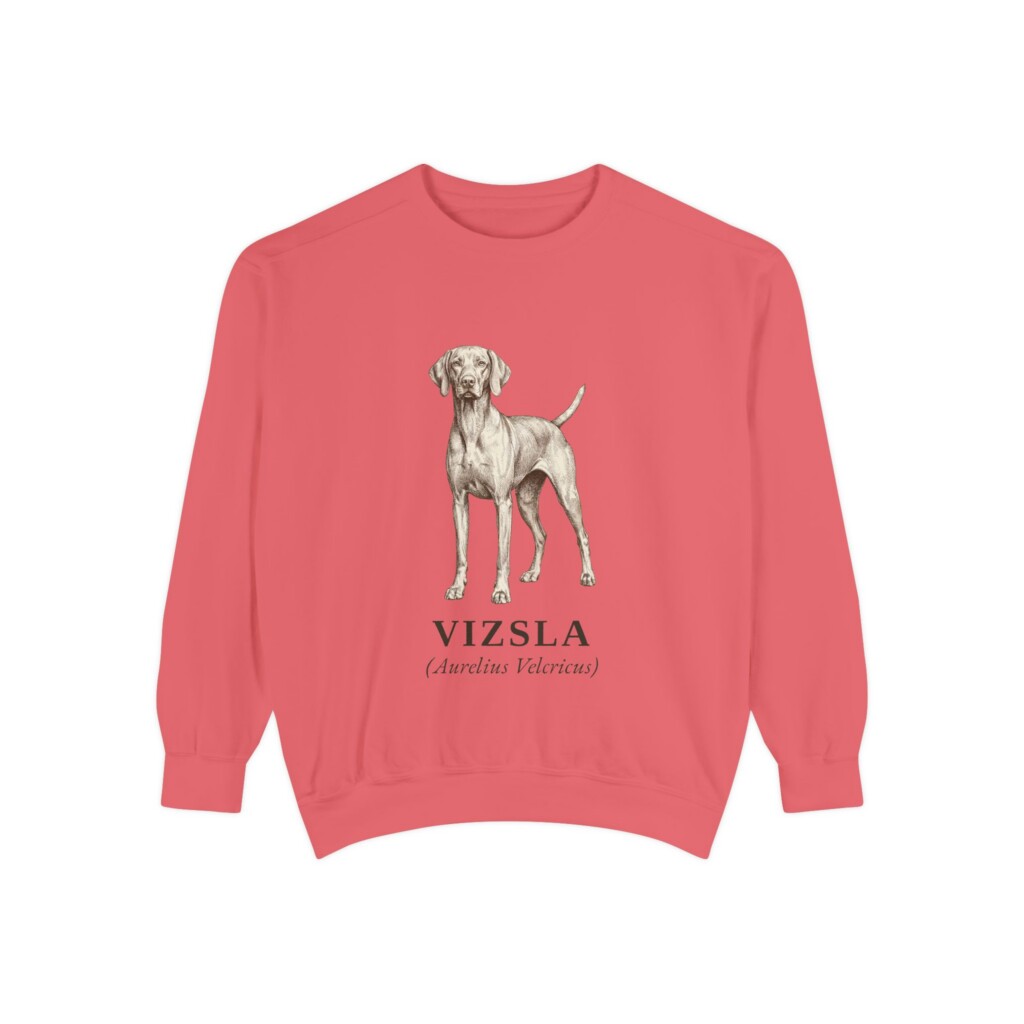 Vizsla Latin Sweatshirt, Vintage Dog Sketch Crewneck, Dog Latin Gift