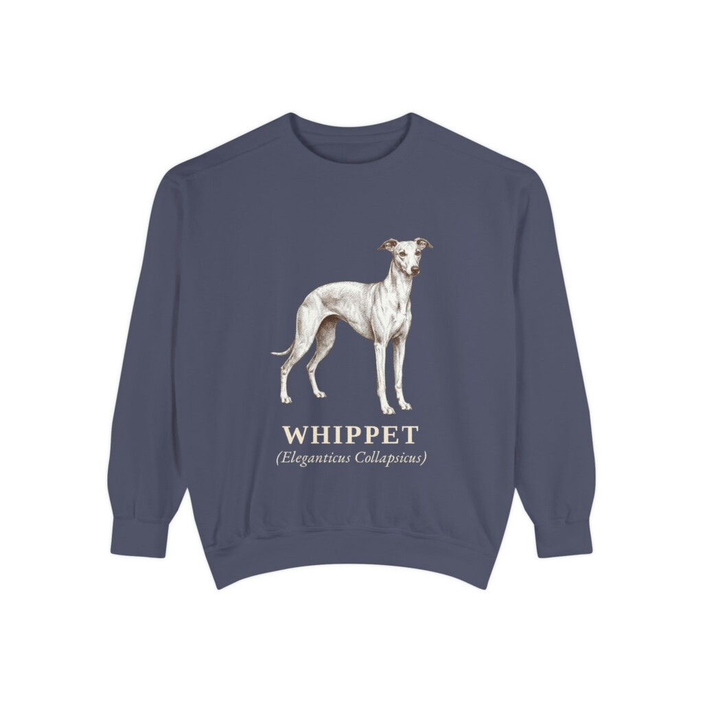 Whippet Latin Sweatshirt, Vintage Dog Sketch Crewneck, Dog Latin Gift