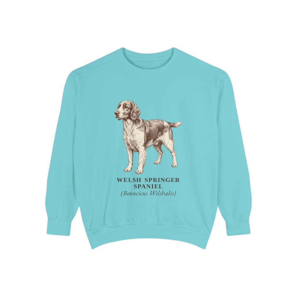 4818363932487472473_2048.jpeg Welsh Springer Spaniel Latin Sweatshirt, Vintage Dog Sketch Crewneck, Dog Latin Gift