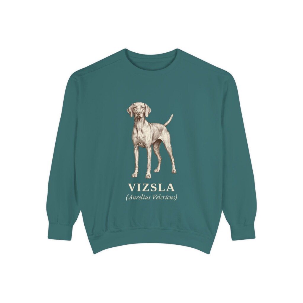 Vizsla Latin Sweatshirt, Vintage Dog Sketch Crewneck, Dog Latin Gift