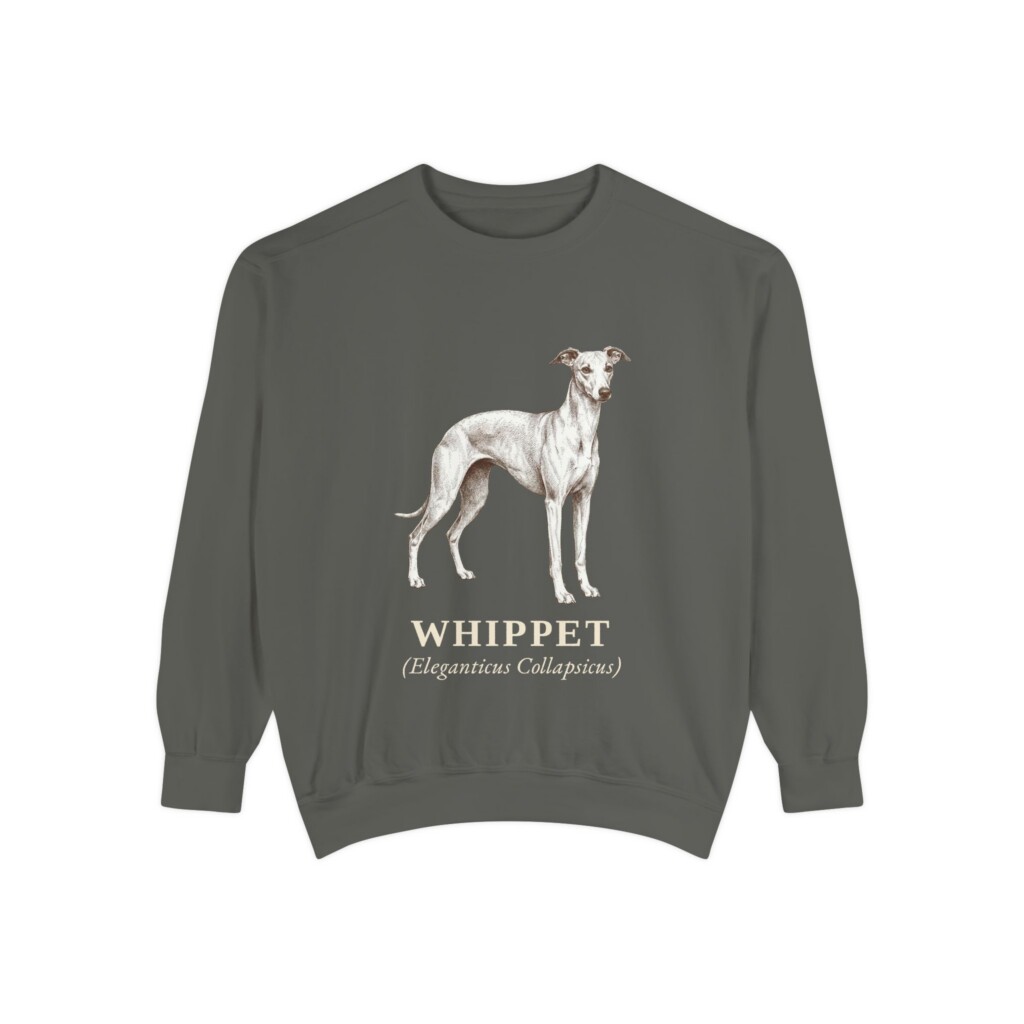 Whippet Latin Sweatshirt, Vintage Dog Sketch Crewneck, Dog Latin Gift
