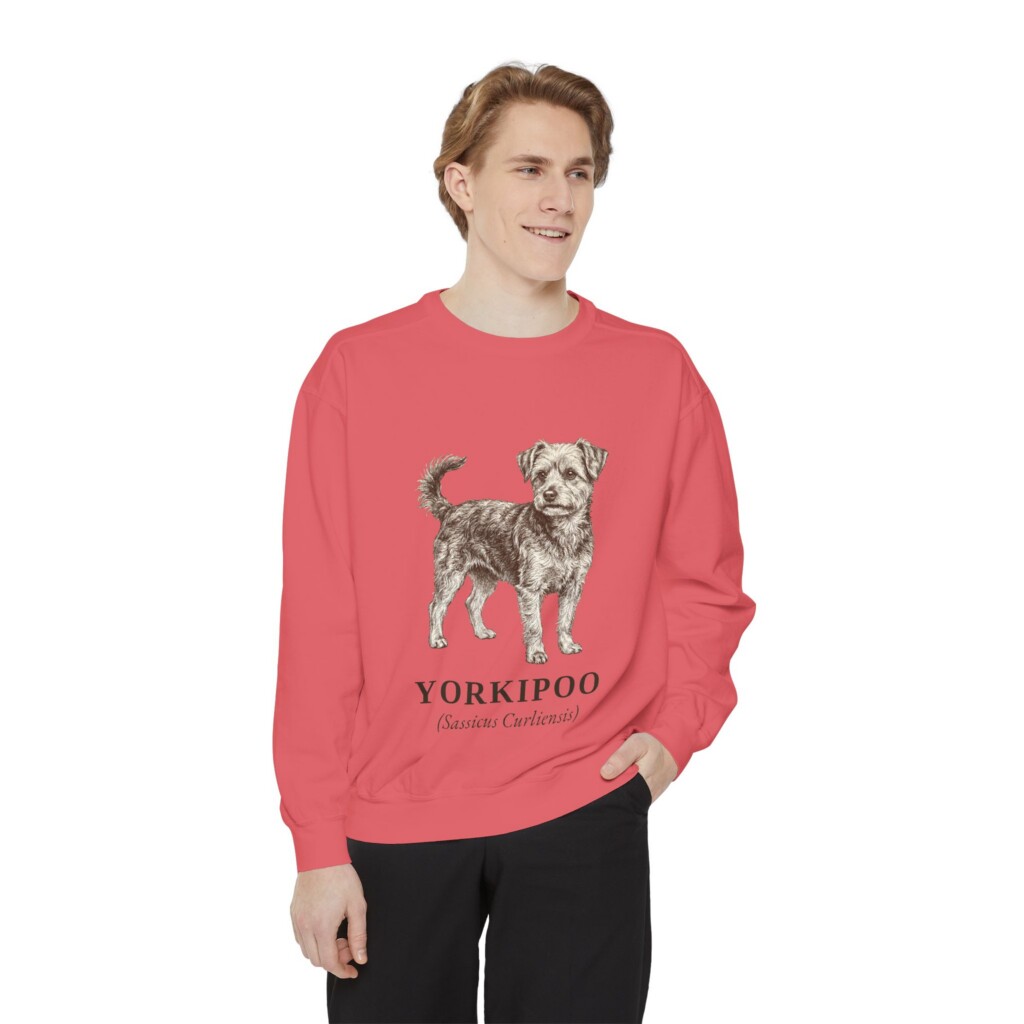 Yorkipoo Latin Sweatshirt, Vintage Dog Sketch Crewneck, Dog Latin Gift
