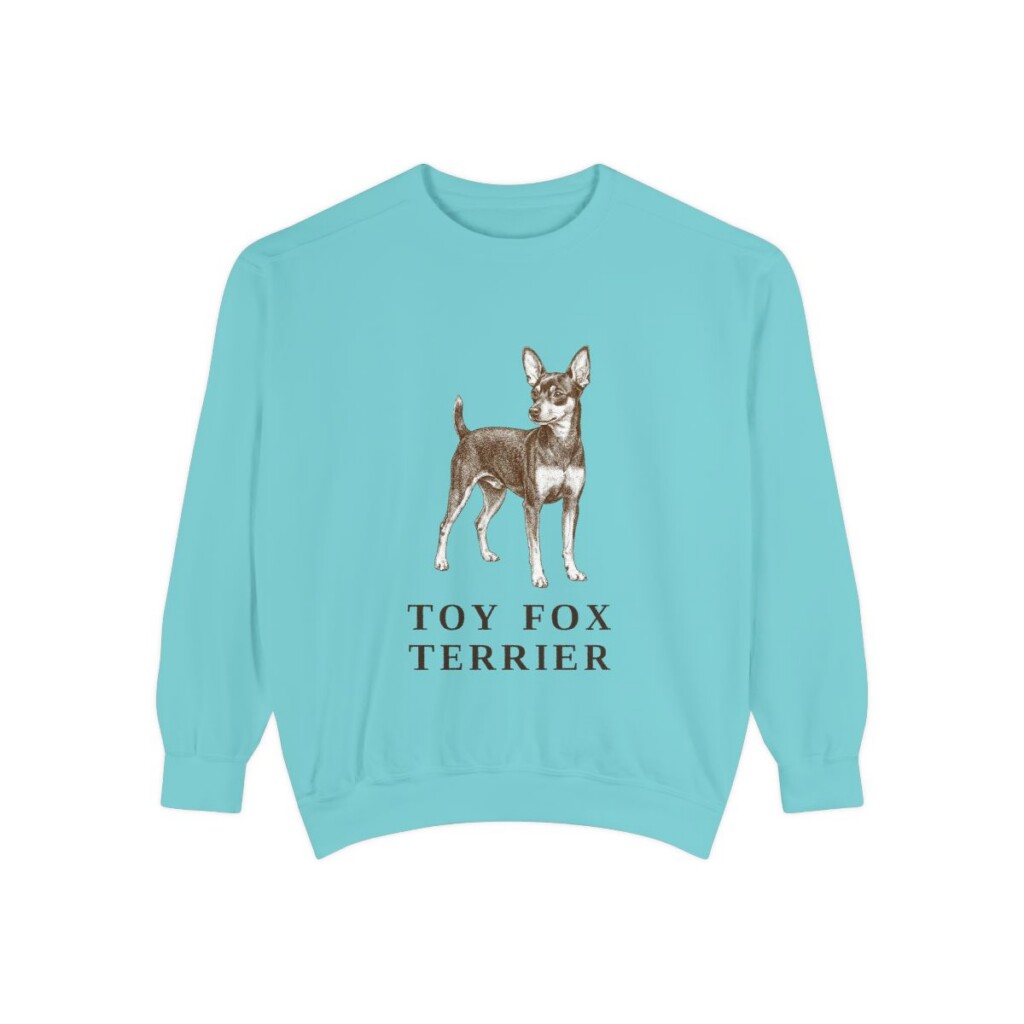 toy fox terrier sweatshirt, Chalky Mint