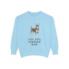 toy fox terrier sweatshirt, Chambray