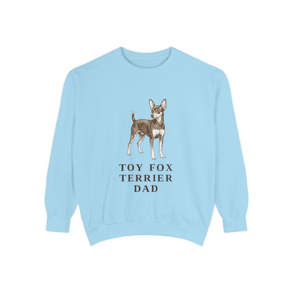 toy fox terrier sweatshirt, Chambray