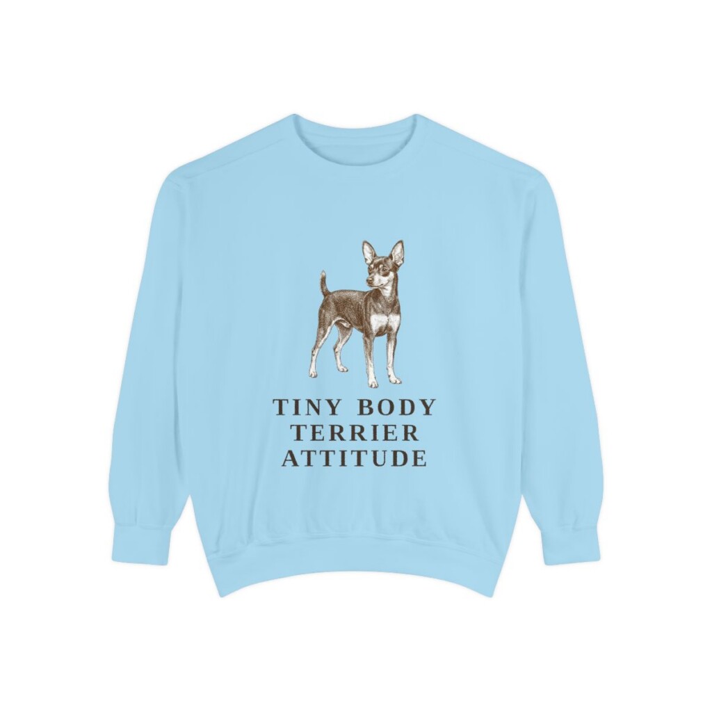 toy fox terrier sweatshirt, Chambray
