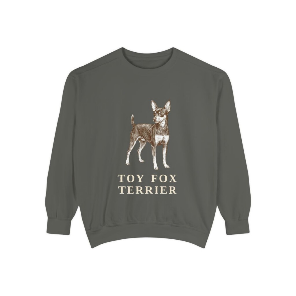 toy fox terrier sweatshirt, Pepper