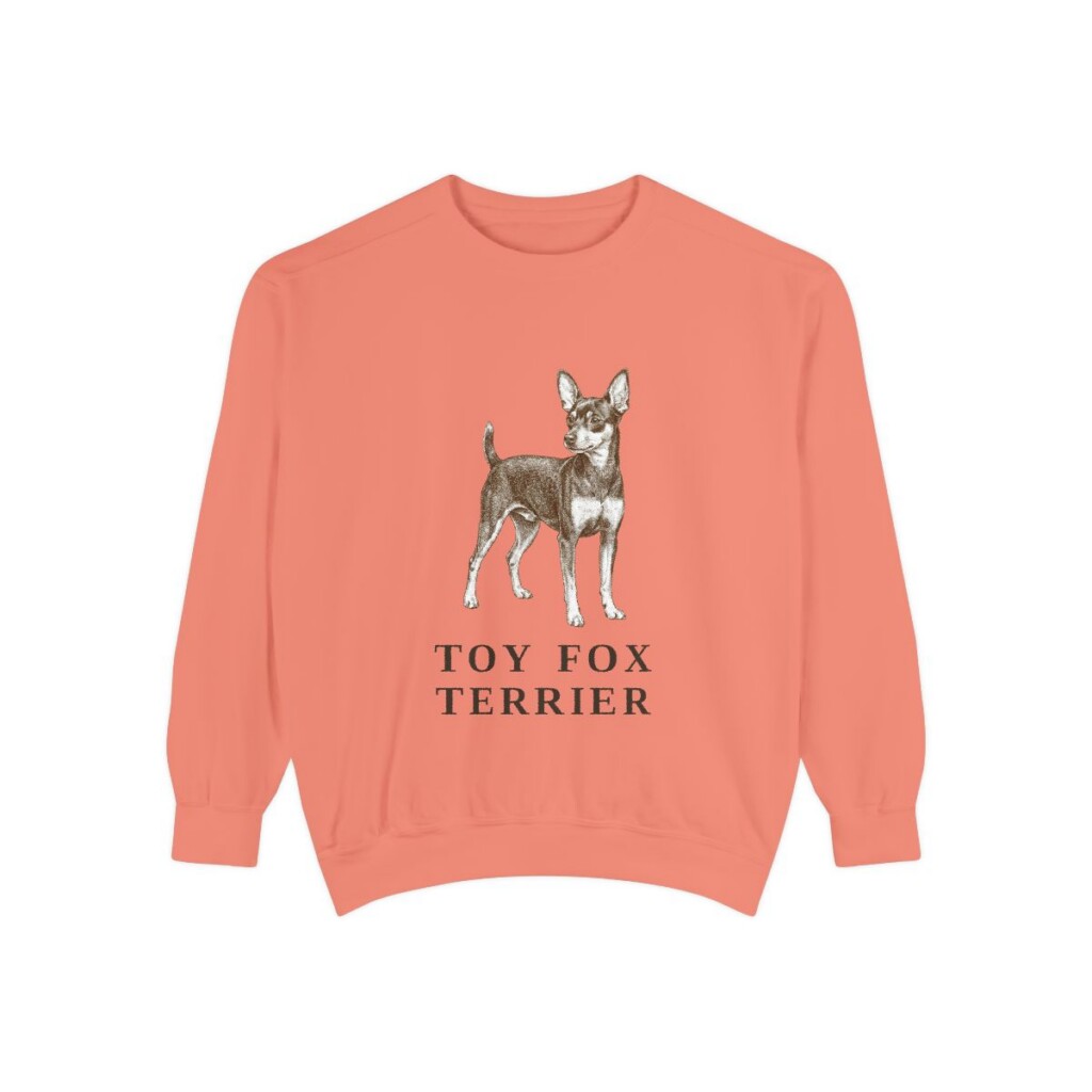 toy fox terrier sweatshirt, Terracotta