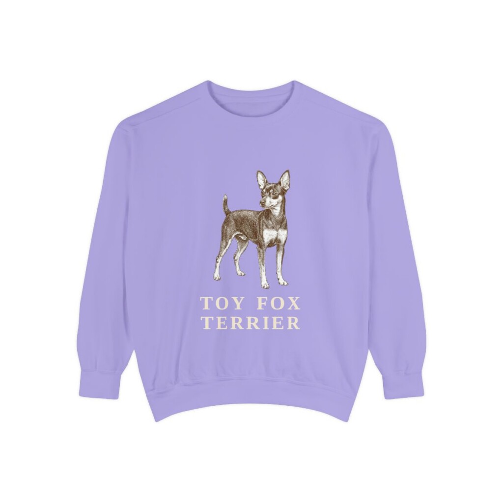 toy fox terrier sweatshirt, Violet