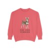 toy fox terrier sweatshirt, Watermelon