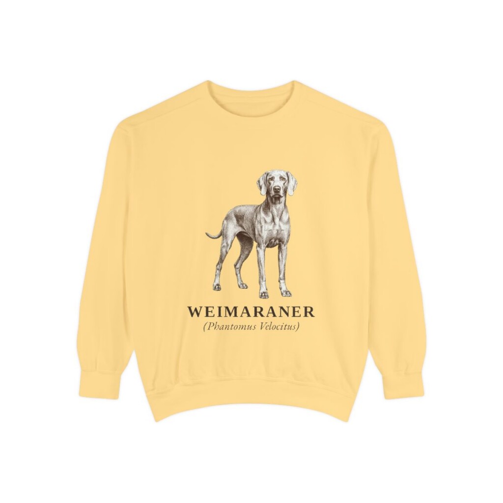 weimaraner sweatshirt, Butter