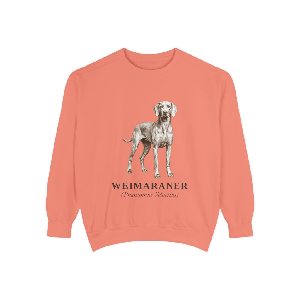 weimaraner sweatshirt, Terracotta