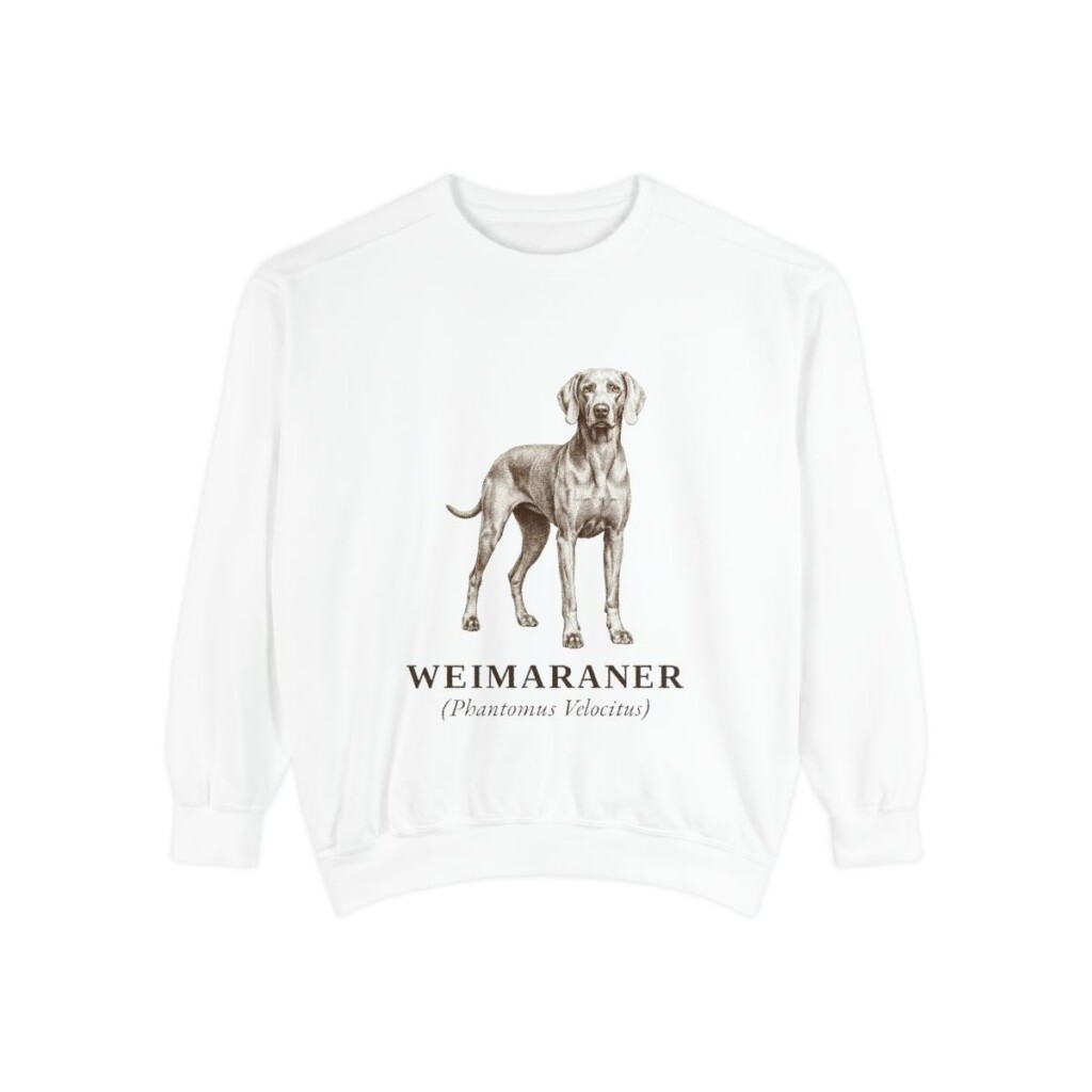 weimaraner sweatshirt, White