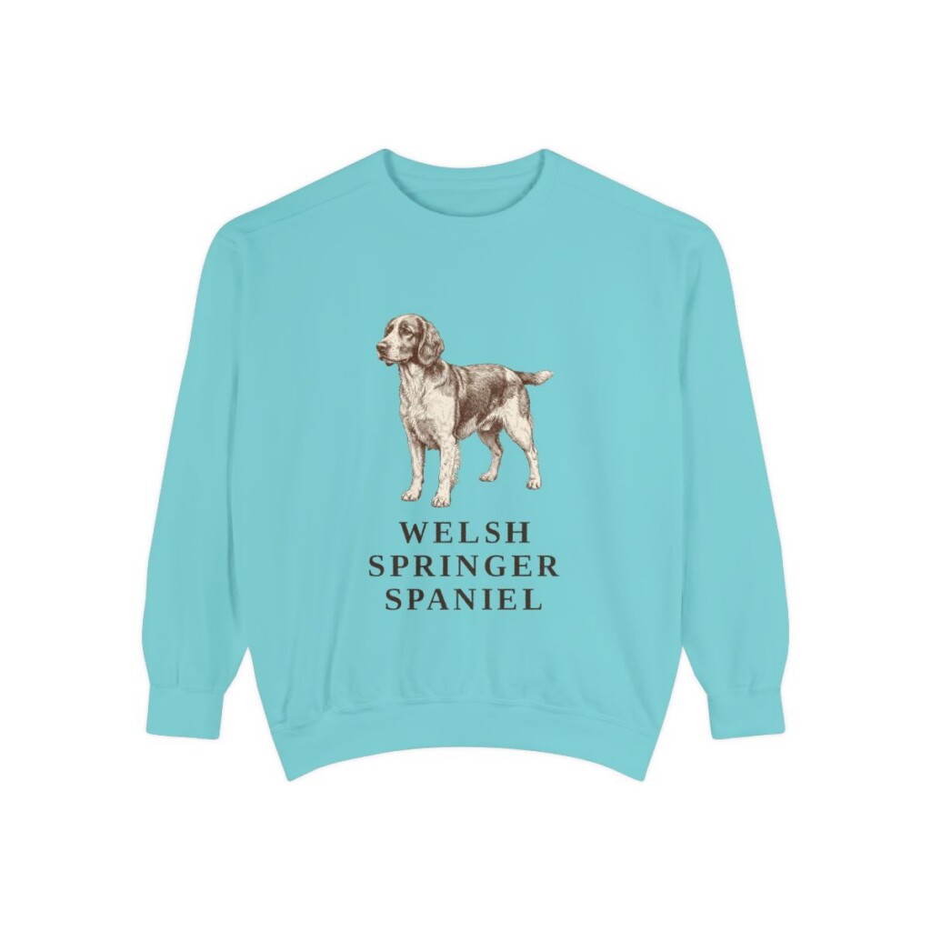 Welsh Springer Spaniel Sweatshirt, Chalky Mint, front view