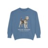 welsh-terrier-sweatshirt-latin-blue-jean welsh terrier sweatshirt, Blue Jean