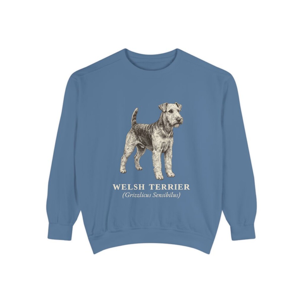 welsh-terrier-sweatshirt-latin-blue-jean welsh terrier sweatshirt, Blue Jean
