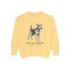 welsh-terrier-sweatshirt-latin-butter welsh terrier sweatshirt, Butter