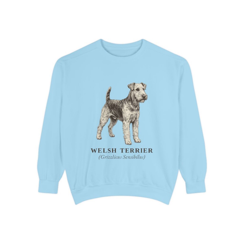 welsh-terrier-sweatshirt-latin-chambray welsh terrier sweatshirt, Chambray
