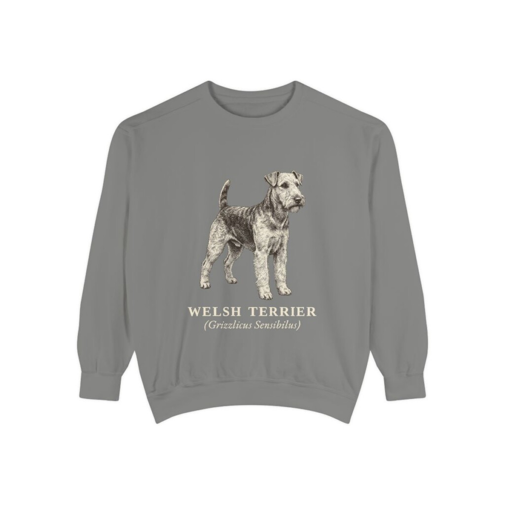 welsh-terrier-sweatshirt-latin-grey welsh terrier sweatshirt, Grey