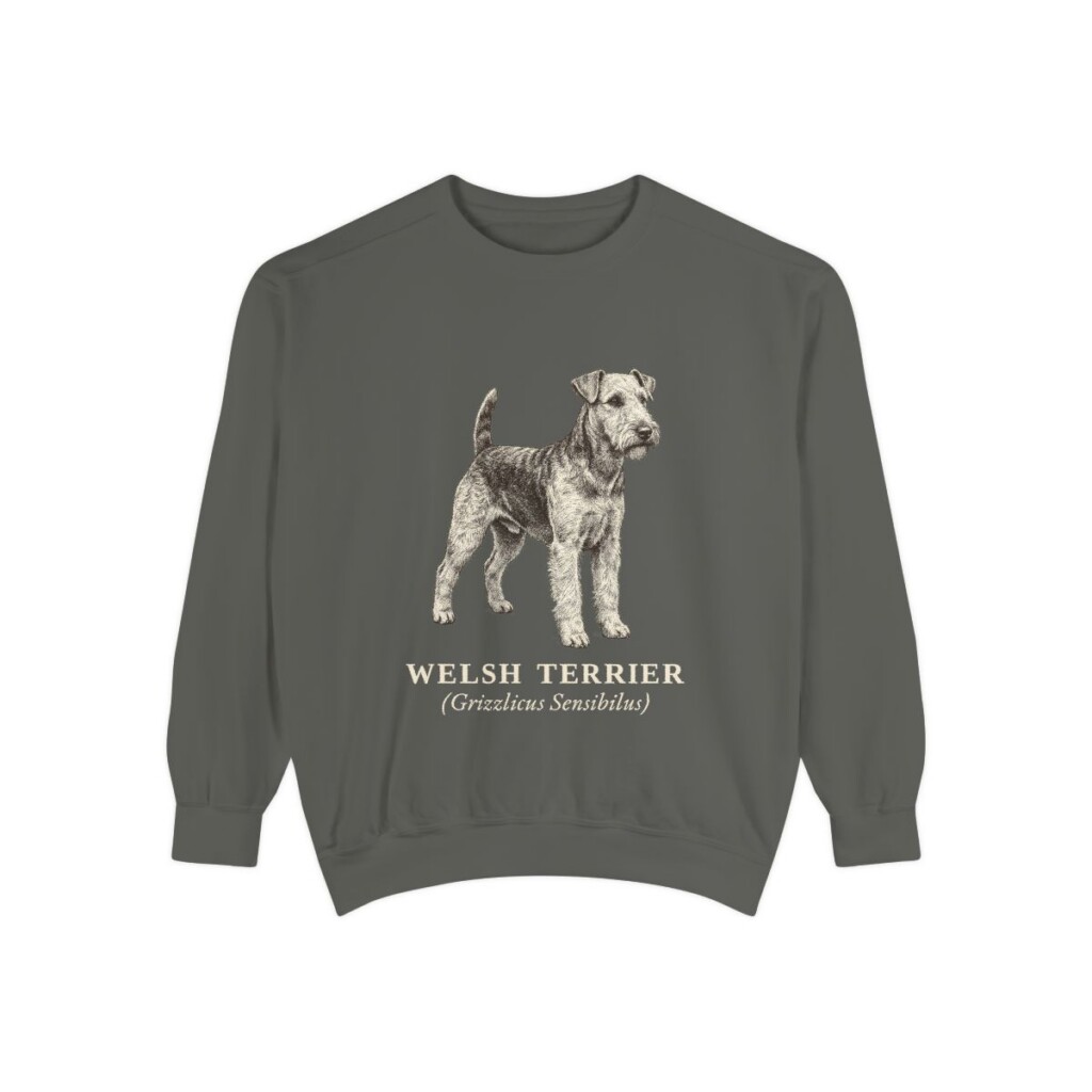 welsh-terrier-sweatshirt-latin-pepper welsh terrier sweatshirt, Pepper