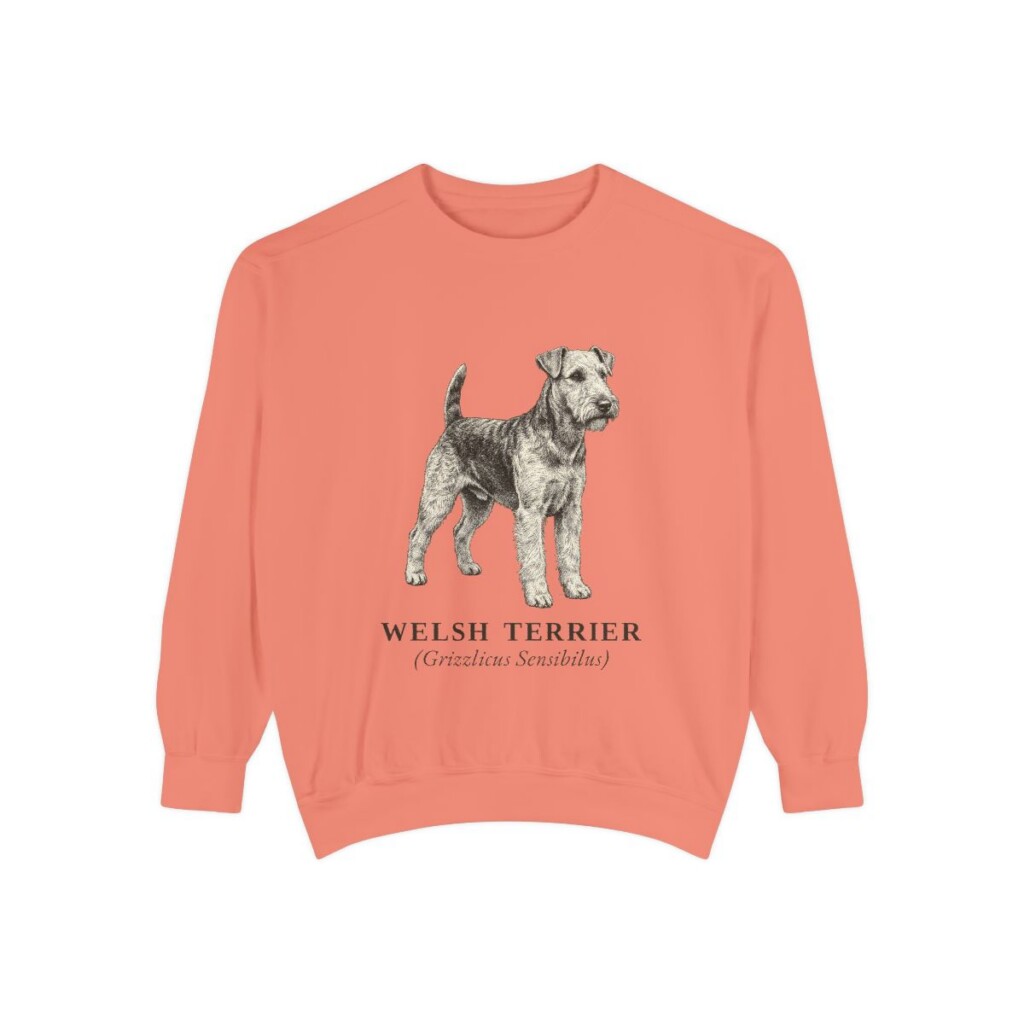 welsh-terrier-sweatshirt-latin-terracotta welsh terrier sweatshirt, Terracotta