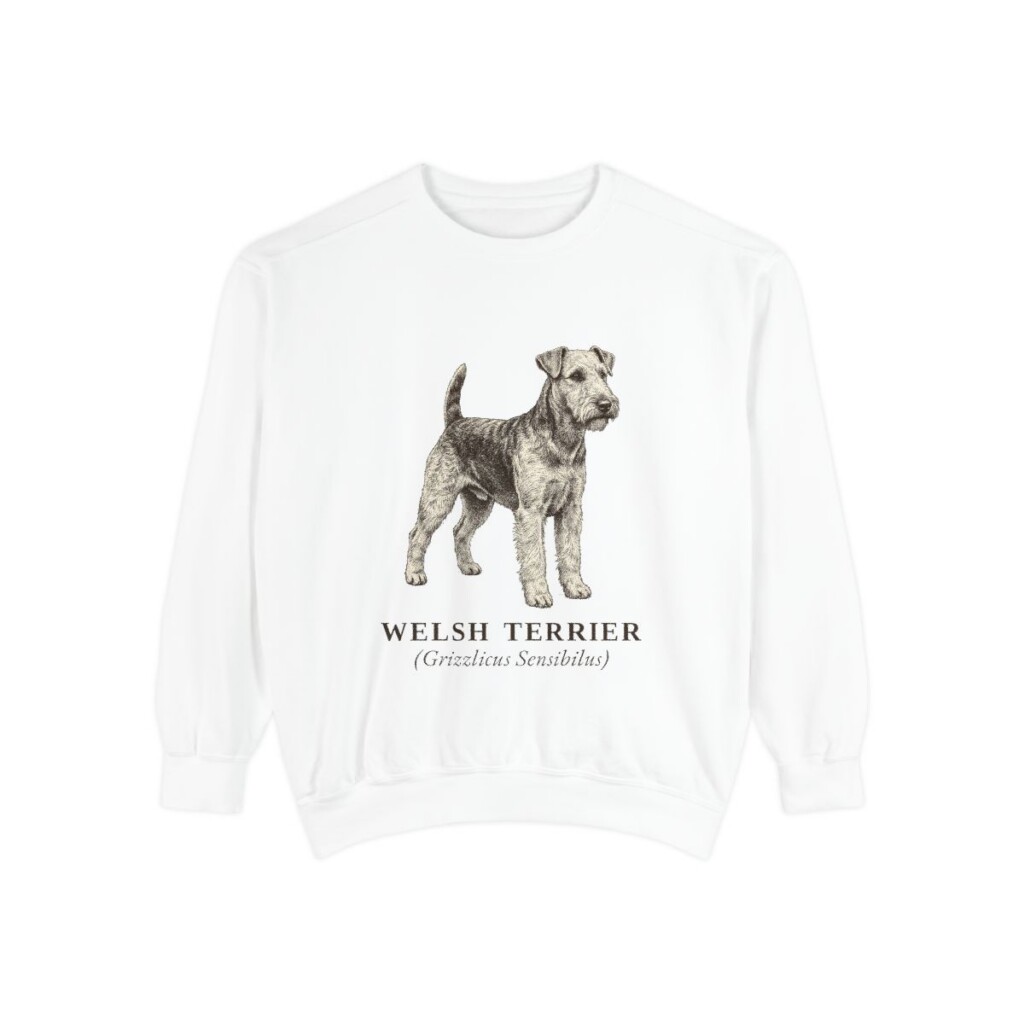 welsh-terrier-sweatshirt-latin-white welsh terrier sweatshirt, White