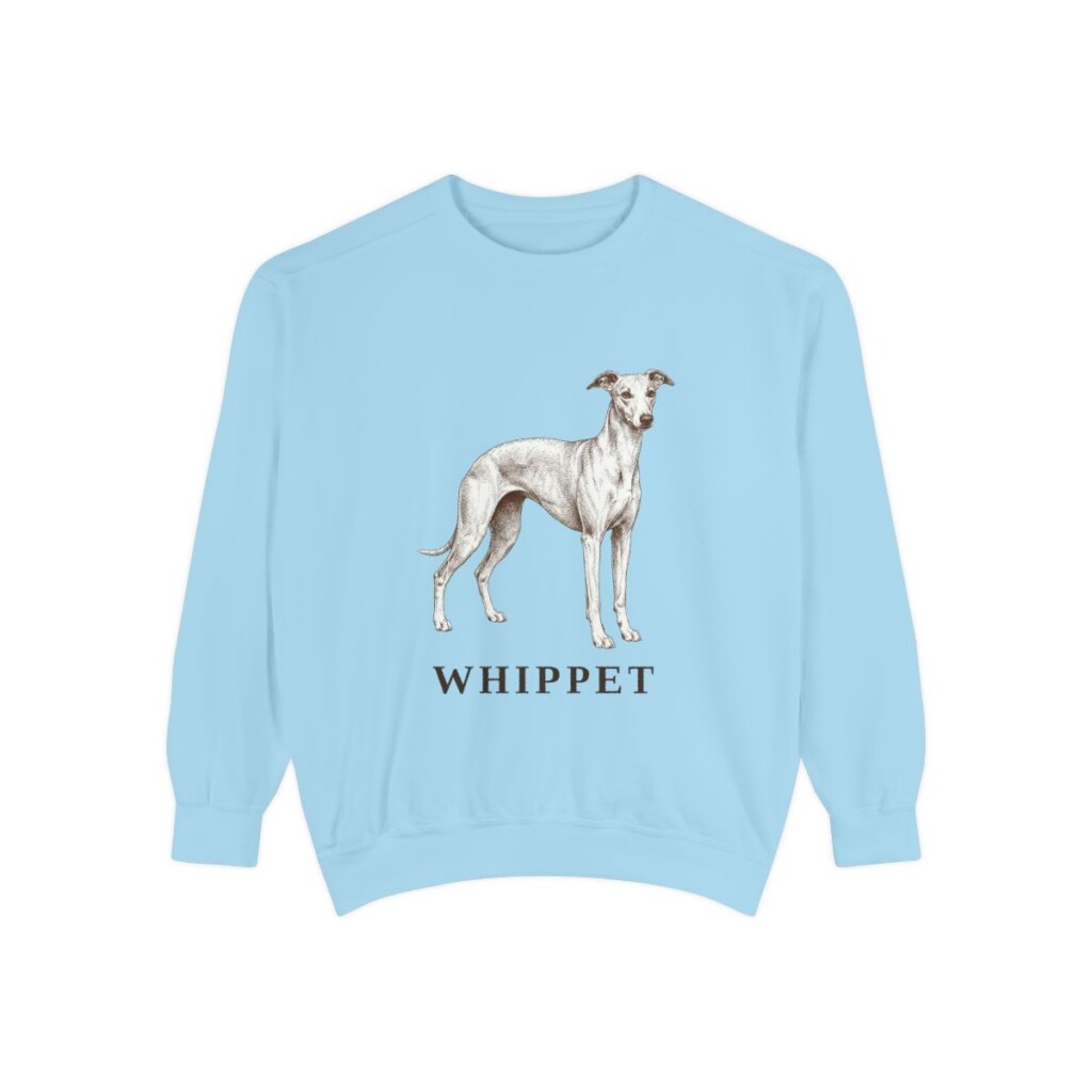 whippet sweatshirt, Chambray
