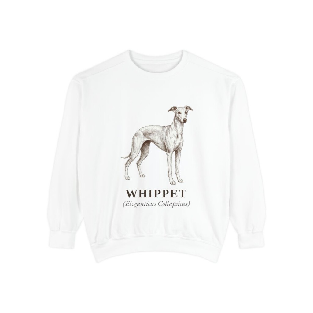 Whippet Latin Sweatshirt, White, front view