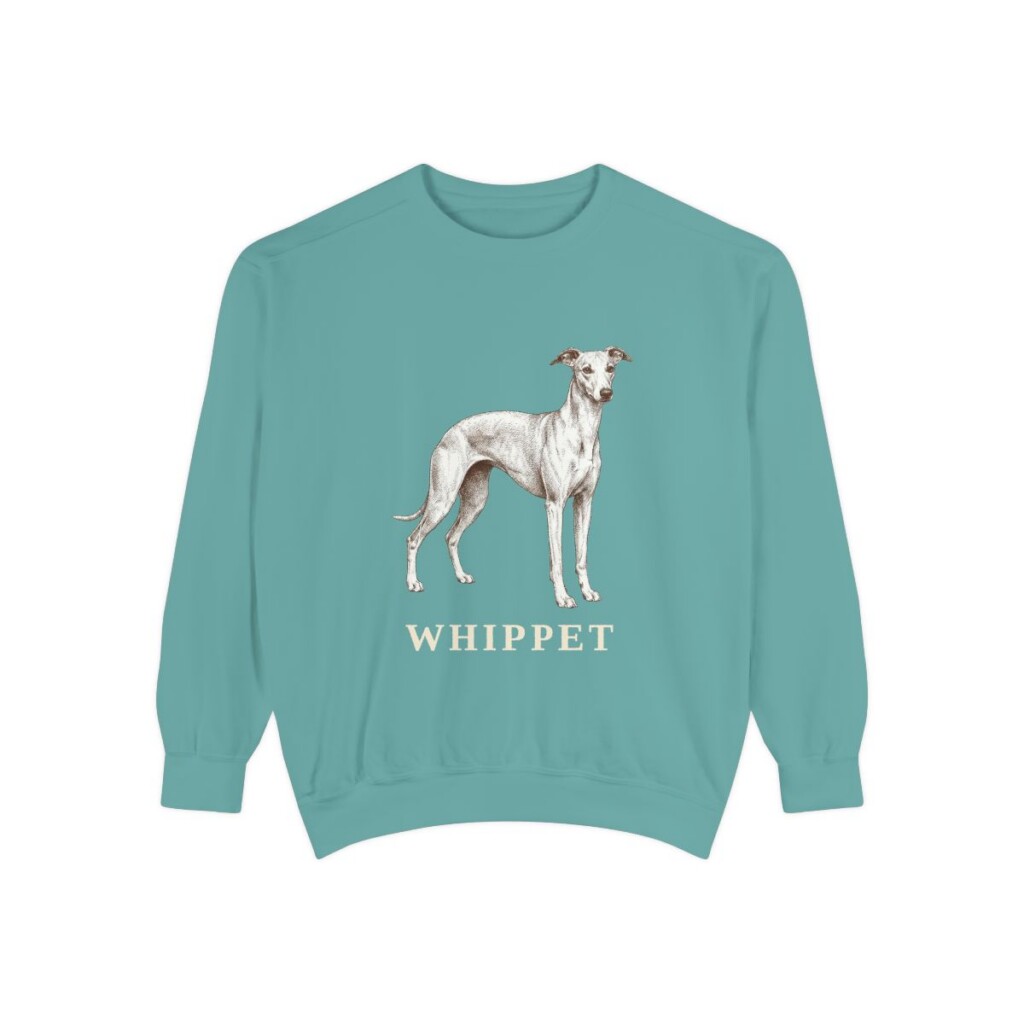 whippet sweatshirt, Seafoam