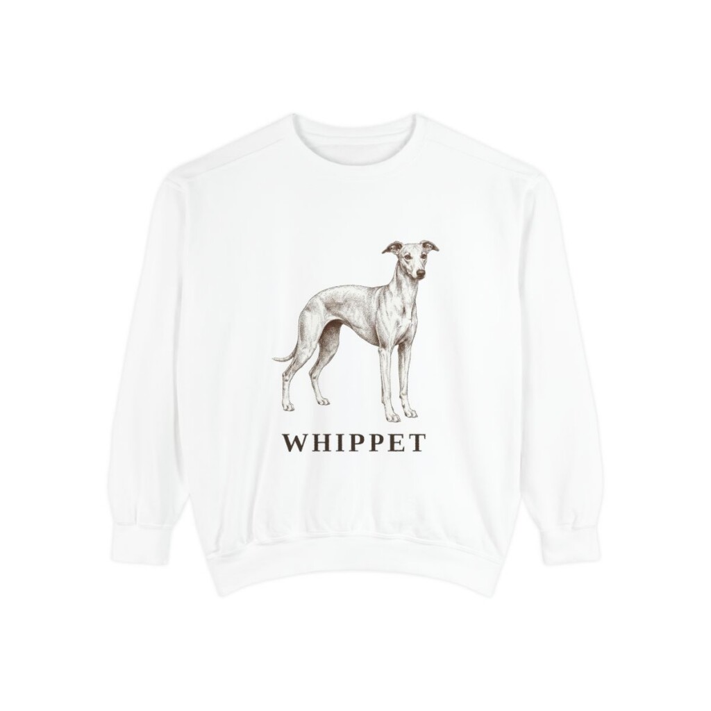 whippet sweatshirt, White