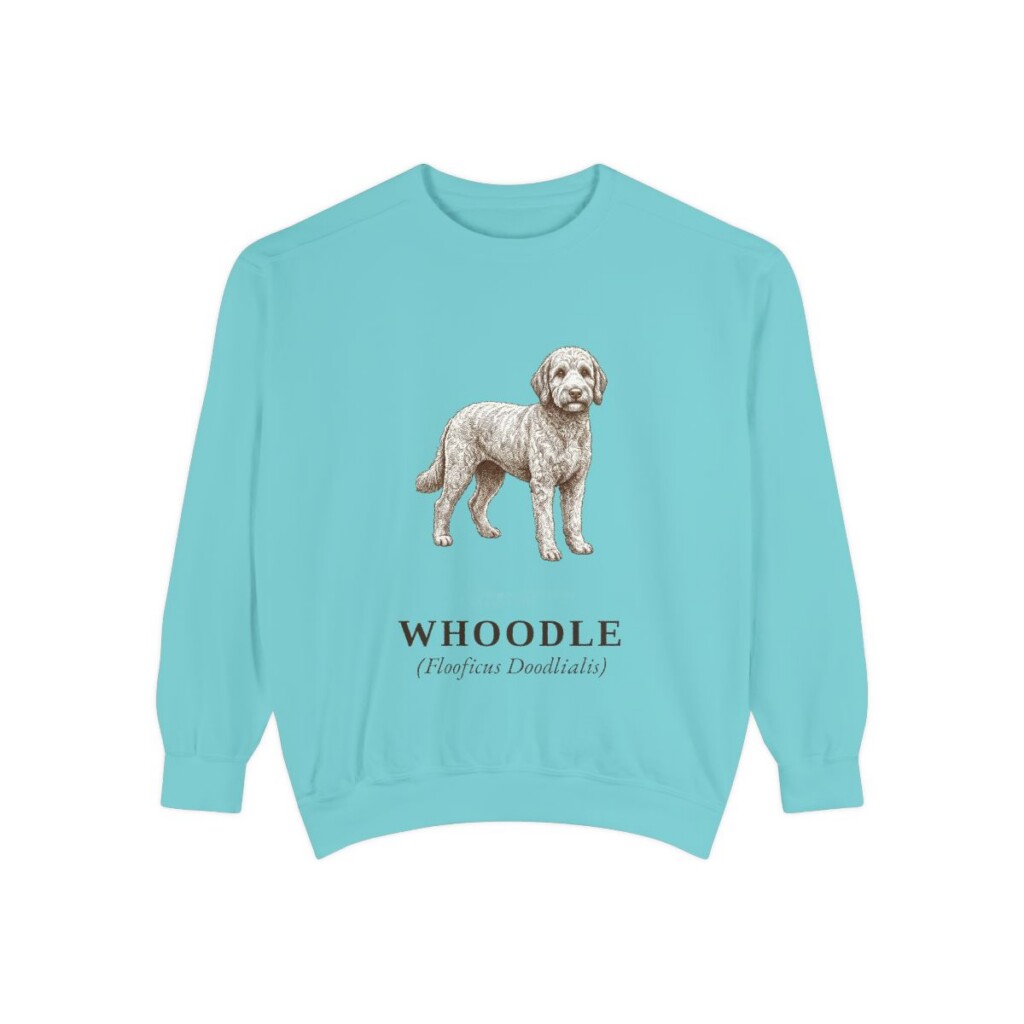 Whoodle Latin Sweatshirt, Chalky Mint, front view