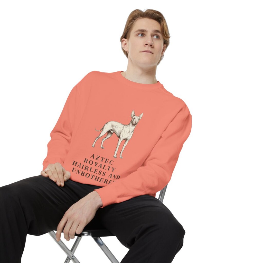 xoloitzcuintli sweatshirt, Terracotta