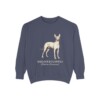 xoloitzcuintli sweatshirt, Denim