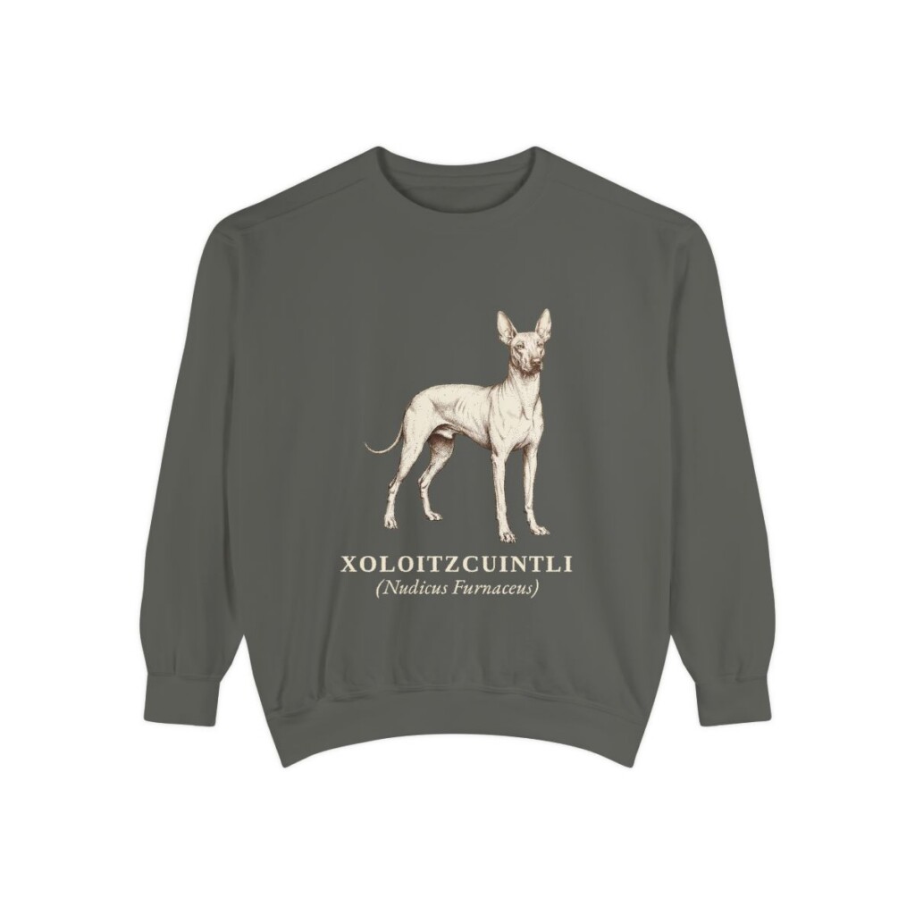xoloitzcuintli sweatshirt, Pepper
