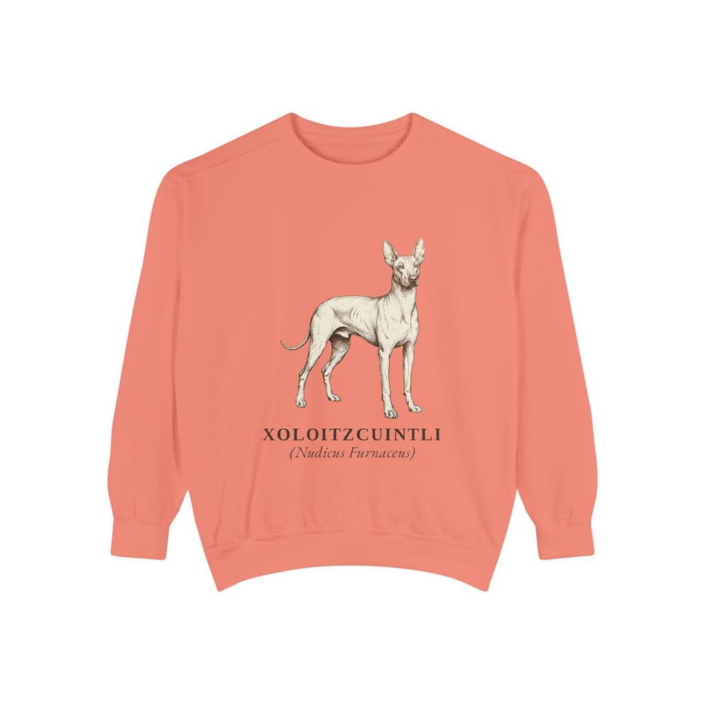 xoloitzcuintli sweatshirt, Terracotta