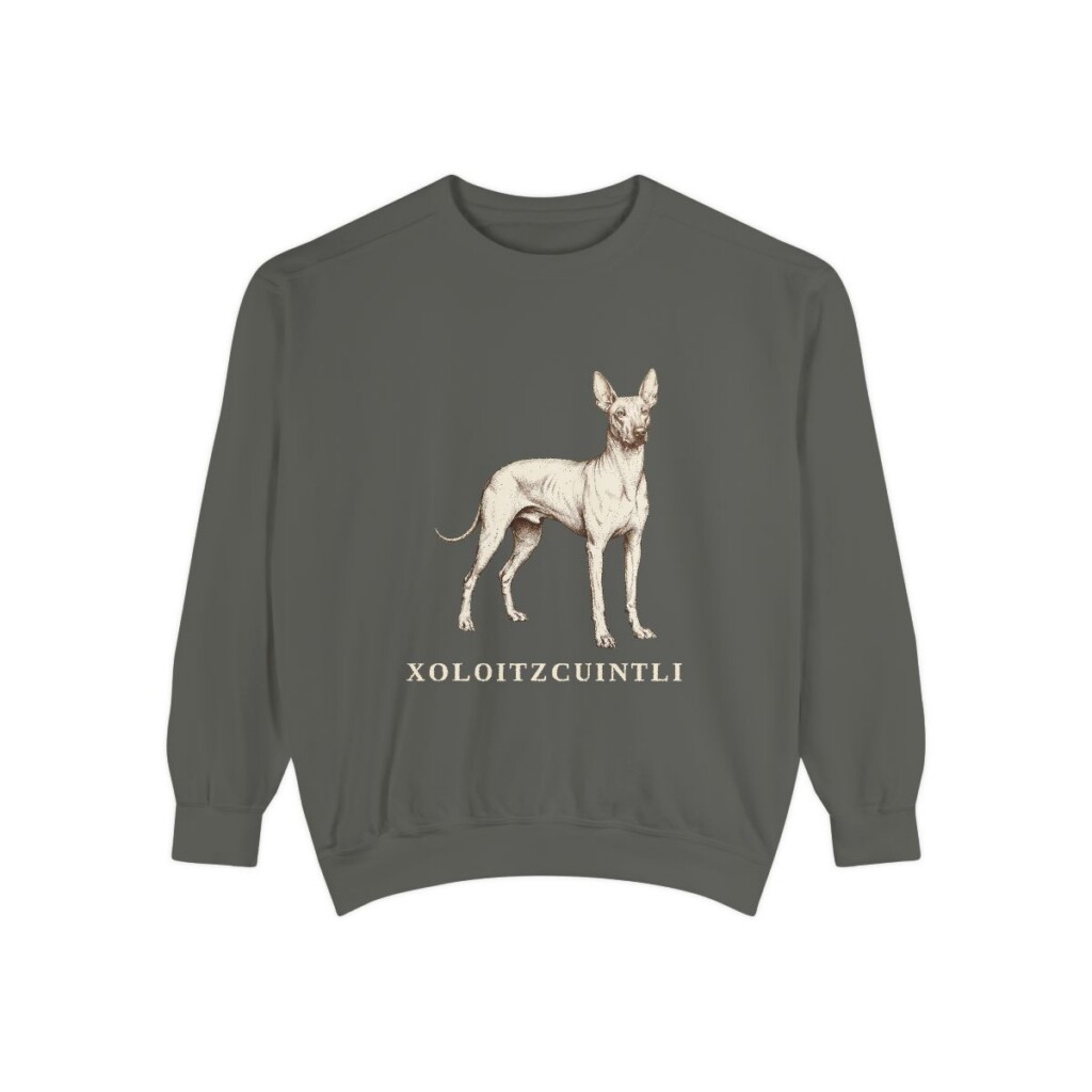 xoloitzcuintli sweatshirt, Pepper