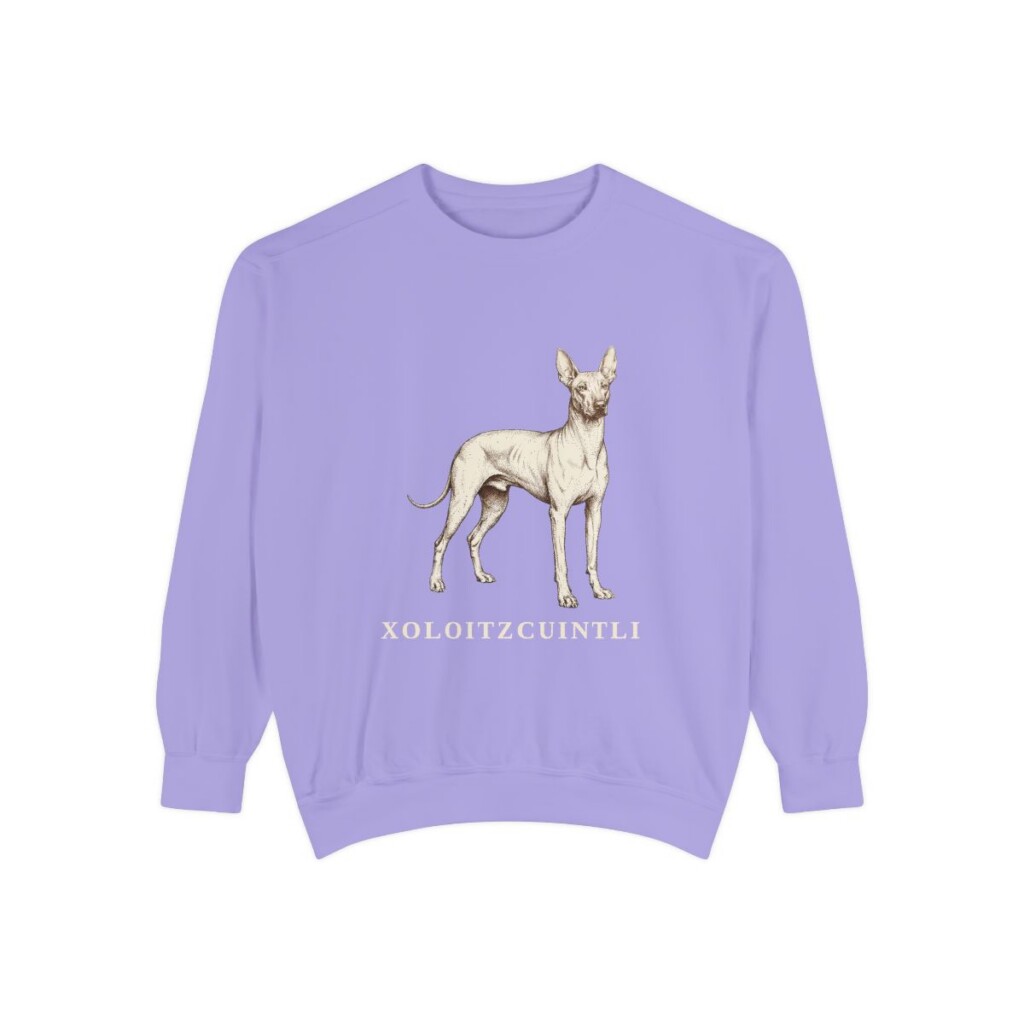 xoloitzcuintli sweatshirt, Violet