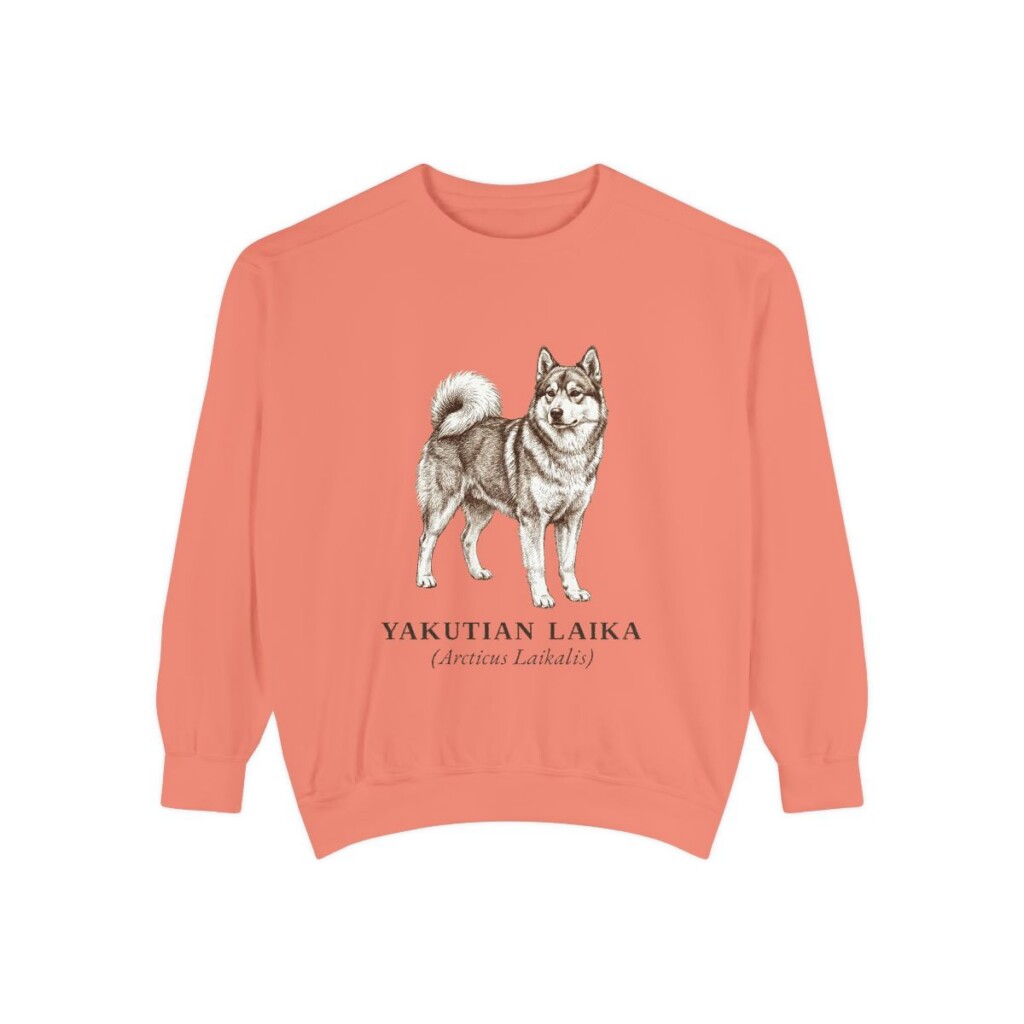 Yakutian Laika Latin Sweatshirt, Terracotta, front view