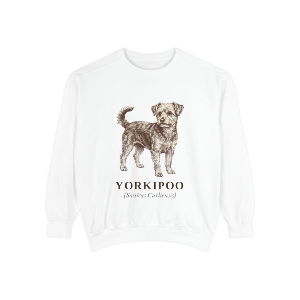 Yorkipoo Latin Sweatshirt, White, front view