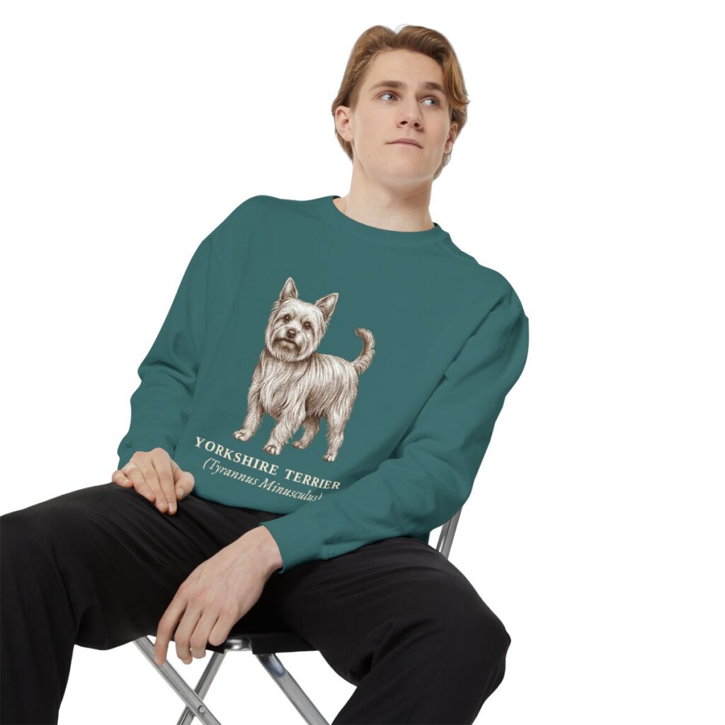 Yorkshire Terrier Latin Sweatshirt, Blue Spruce, person 1 context