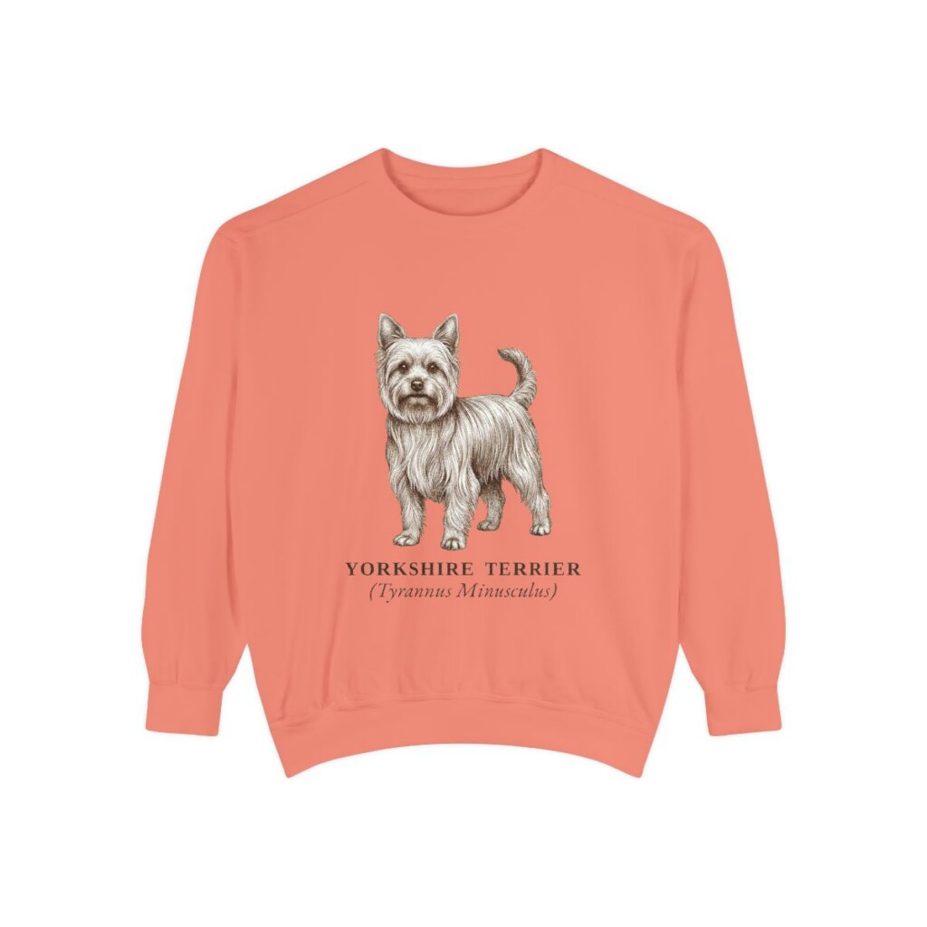 Yorkshire Terrier Latin Sweatshirt, Terracotta, front view